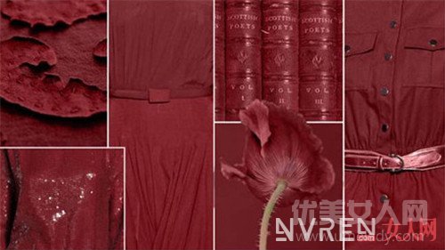 2017流行色：性感优雅褐红色_2017十大时尚潮流色 让你的色彩不再单调