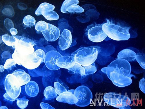 双鱼座今日运势_2017/7/23星座运势查询大全 每日星座运势完整版最新查询