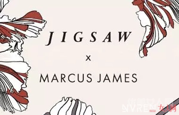 Jigsaw˫_˽Сƽ˫Ƥİʵúֵ