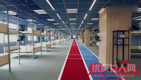 综艺不再是偶像选秀,而是“青年团训”